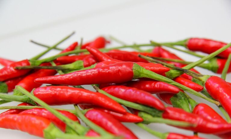 Pestizide in Lebensmitteln – Überblick der Untersuchungen 2024