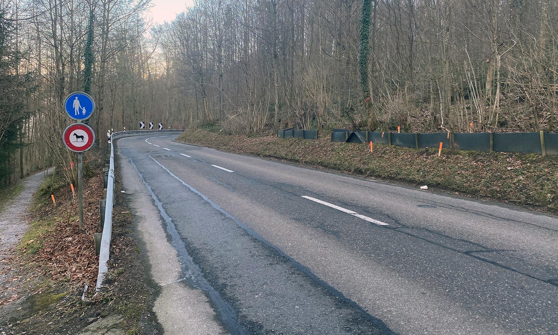 Teaser oetwil chruezlenstrasse down.1739437214363.jpeg