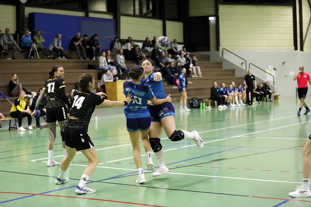 54400628487 dc6ed9f744 b.jpg