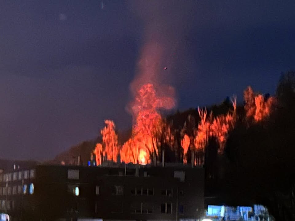 488493131 18064497272496587 7392218309438359621 n.jpg