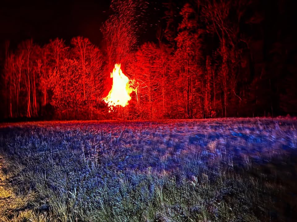 488803736_18064497284496587_383778055057