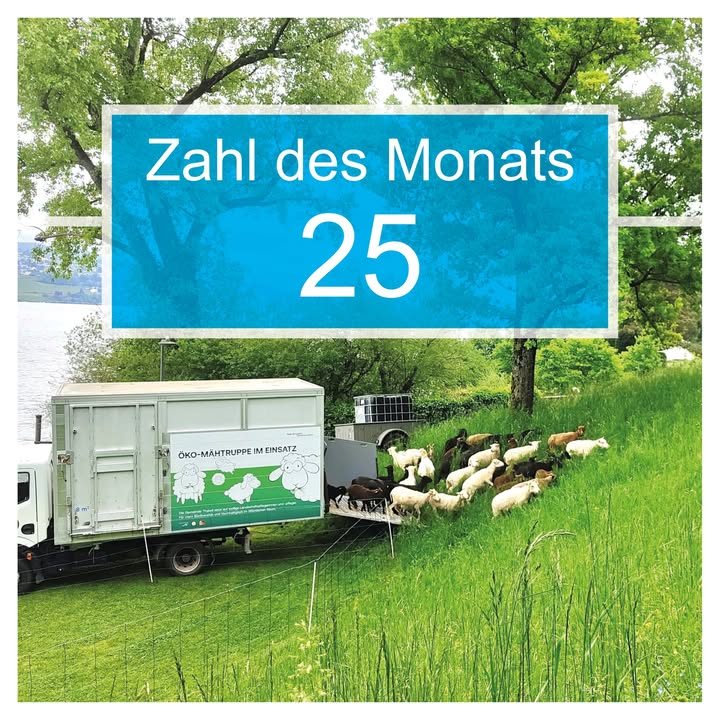 497510930 701036515912070 4337962810123196684 n.jpg