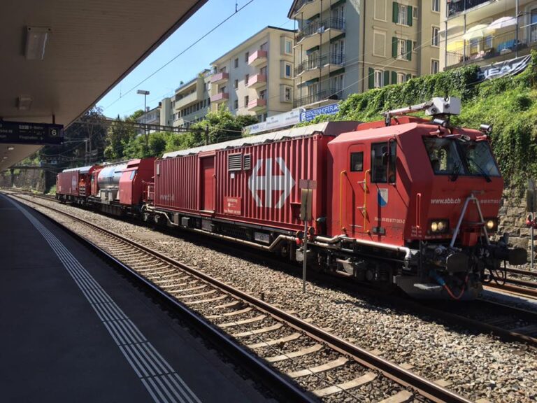 Wen haben wir denn da zu Besuch!