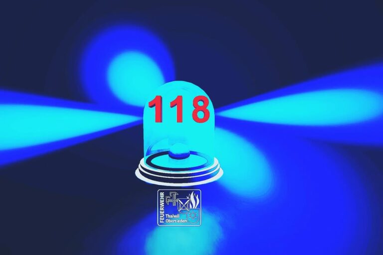 Einsatz No. 50 (06.06.2025) BAG N4 (Bagatellegruppe Nacht) ein gel …