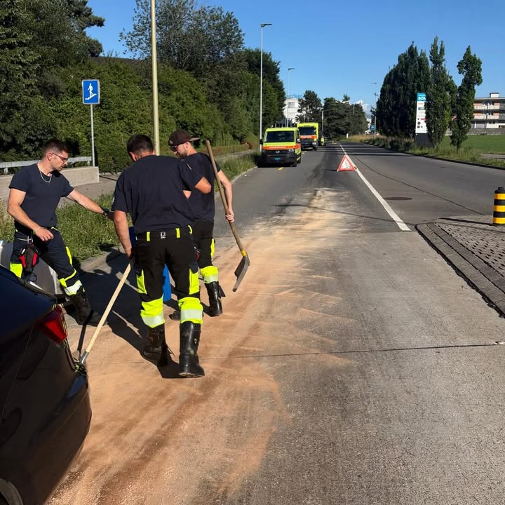 Einsatz No. 61 (28.06.2025) BAG N4 + Vrk-Grp. (Bagatellegruppe Nac …