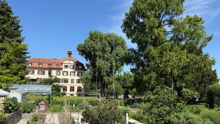 Hurra – die Baubewilligung ist eingetroffen!