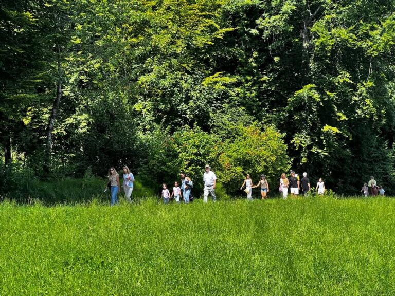 🎉 Der Gschichtli-Weg ist eröffnet! 📖🌳 
Bei strahlend …
