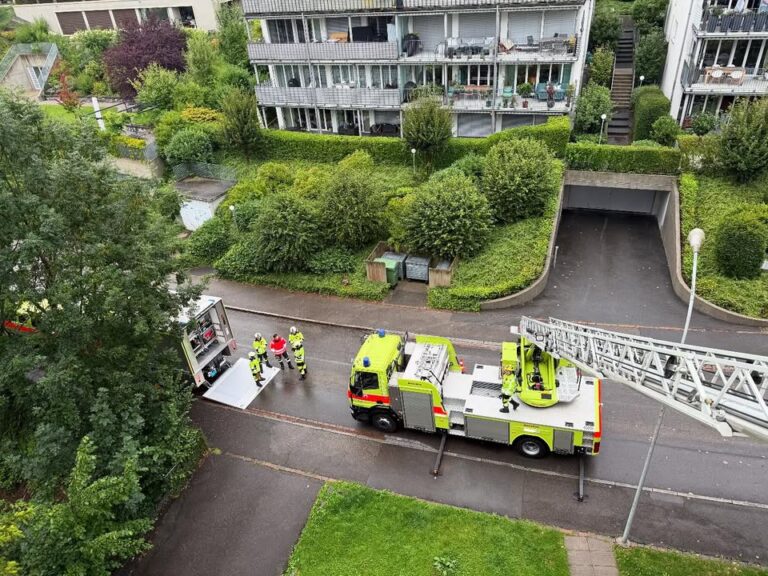 Einsatz No. 72 (26.07.2025) BAG N3 (Bagatellegruppe NACHT) an der  …