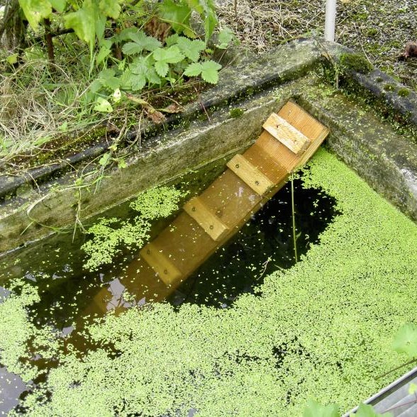 530262227_1102224235423261_3915681886301