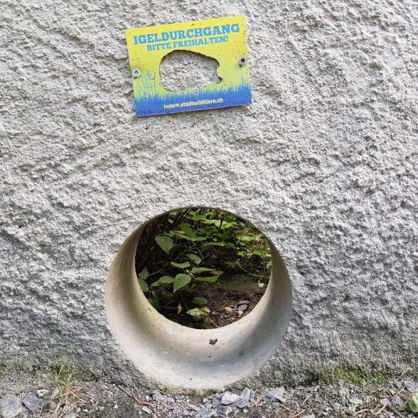 530358130_1102223952089956_4648555384926