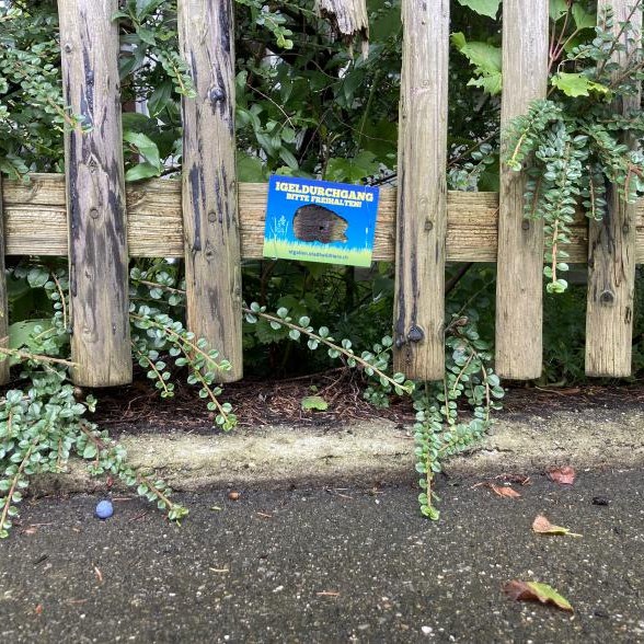 530560893_1102224058756612_1407497698902