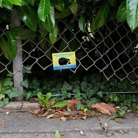 530627077_1102223842089967_8072006246975