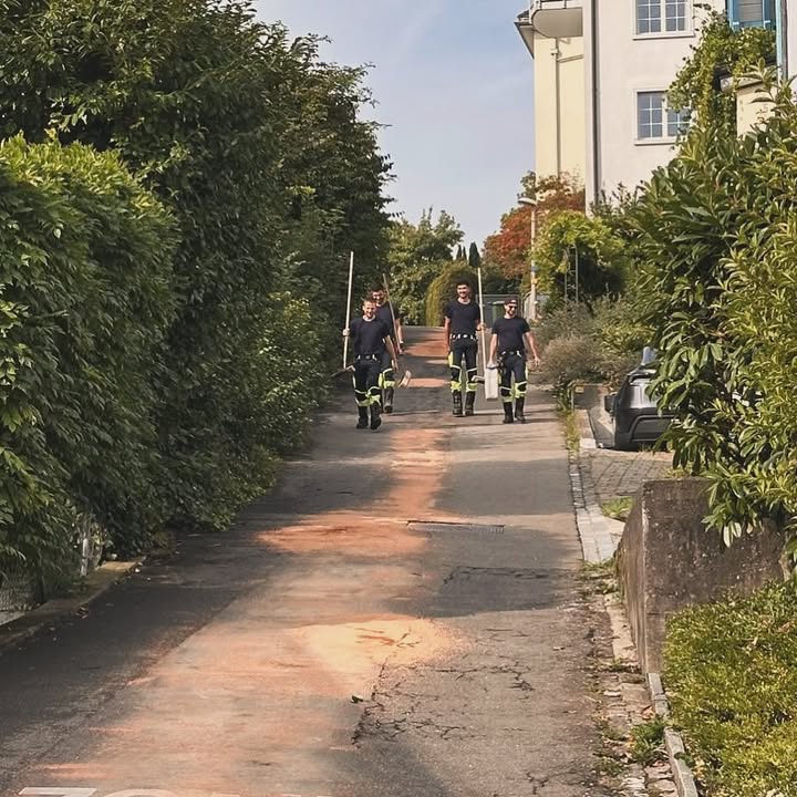 Einsatz No. 91 (27.08.2025) BAG T1 + Vrk.-Grp. (Bagatellegruppe Ta …