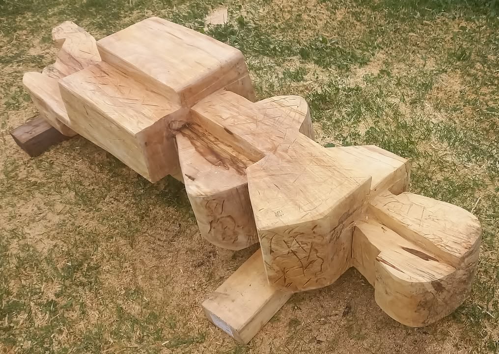 514253457_801211725894410_24650201722849