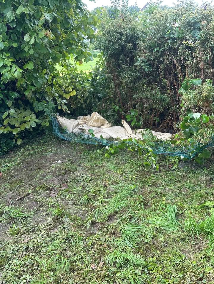 543362295_18081171410496587_116366281702