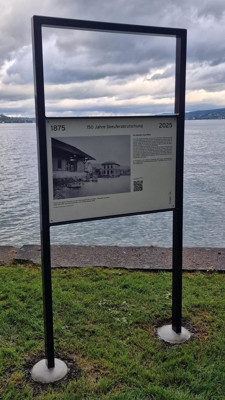 546408685_770730219041369_82056959102416