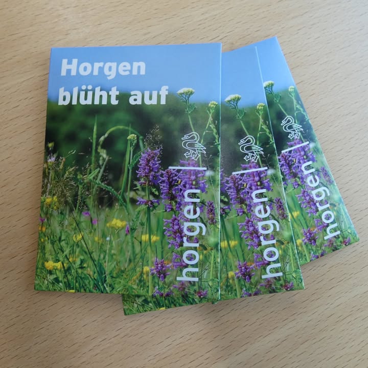 Blühende Nachbarschaft 🌼 
Ab sofort sind im Gemeindehaus un …