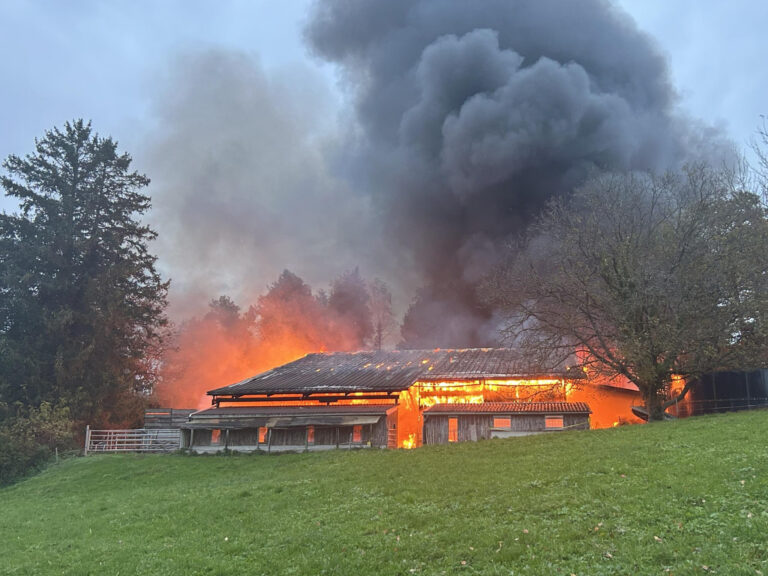 Schadensbilanz 2025: Brand von Wädenswiler Scheune zählte zu den …