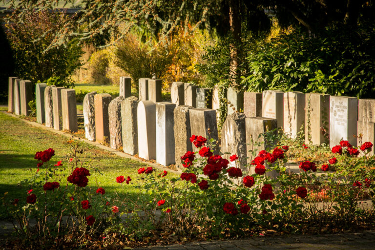 Ewige Ruhe neu gedacht: Unter Bergblumen oder im Diamanten – alt …