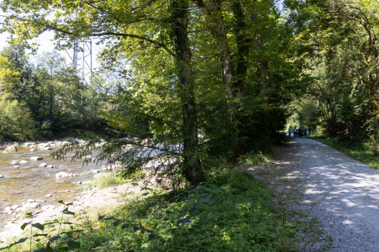 Wegen Einsprachen: Revitalisierung der Sihl verzögert sich