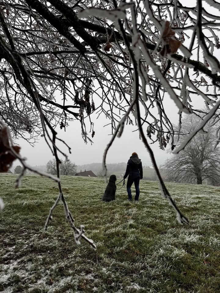 08.03.2026 Gemeindewahlen Horgen 
Marianne Wagner neu in die Sozia …