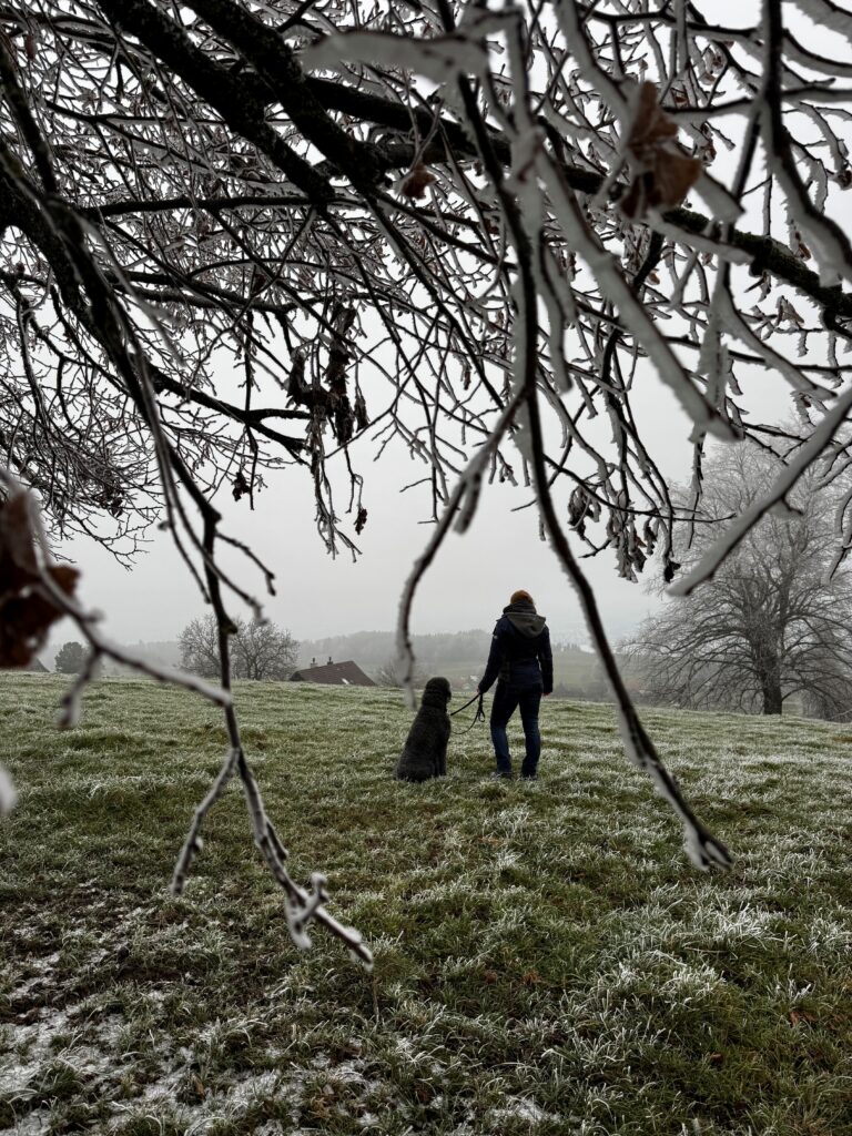 Aussichtsplatz Oberi Chaseren: der Ort im Hirzel, an dem ich Weits …