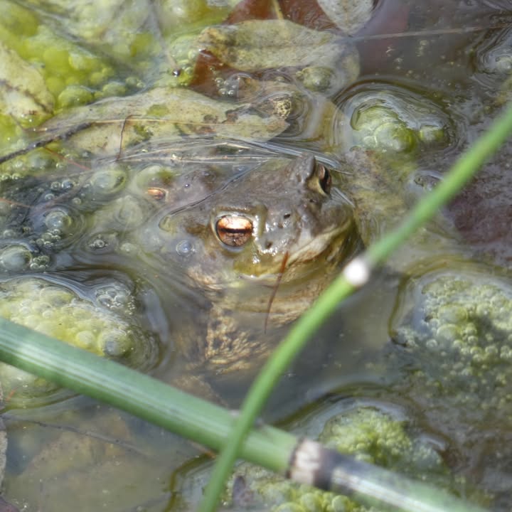 653705066_921753247272398_91236460706688