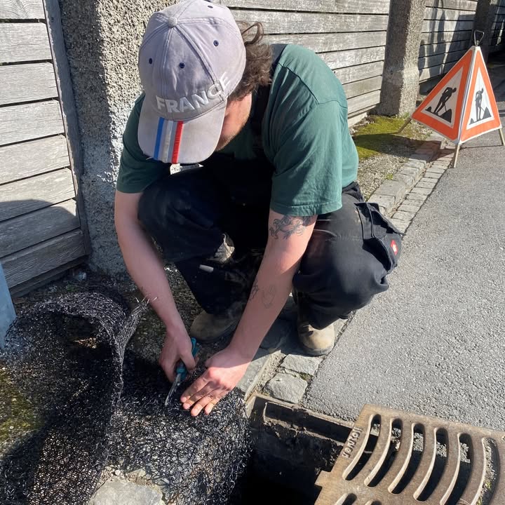 Amphibienwanderung gestartet 🐸 
Seit rund zwei Wochen sind i …