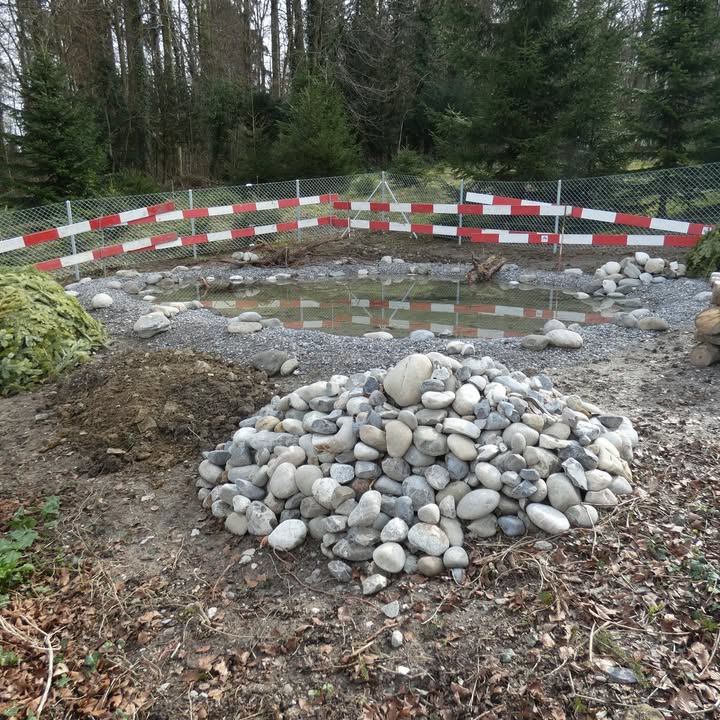 653706767_921753327272390_46412981774410