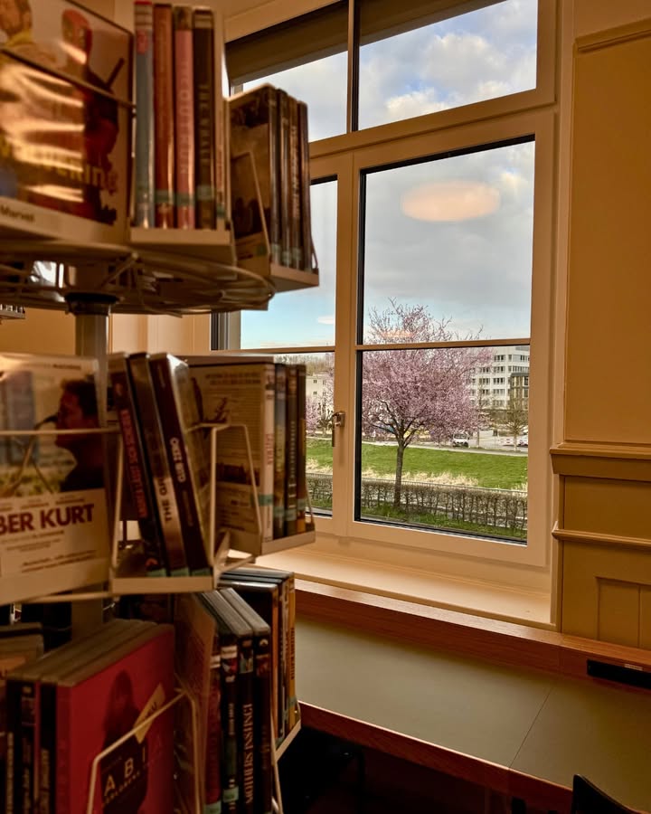 657486841_1258589799781452_5982947953397