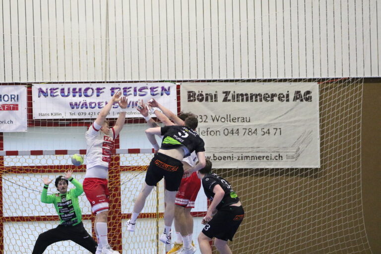 Spielbericht NLB: SG Wädenswil/Horgen – SG Fides St. Gallen