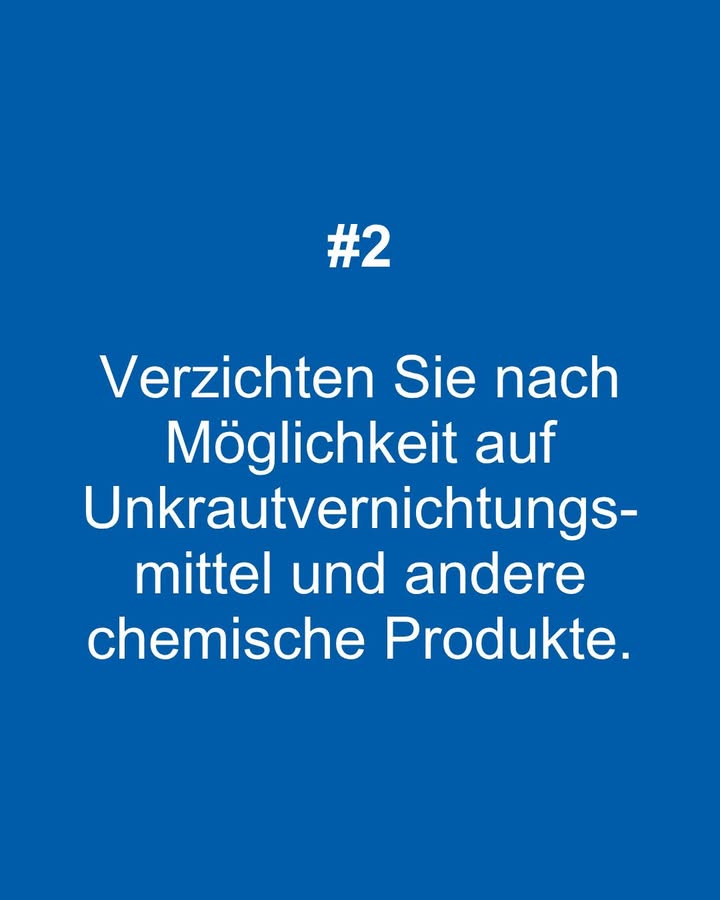 668581366_1268931532080612_7010970570262