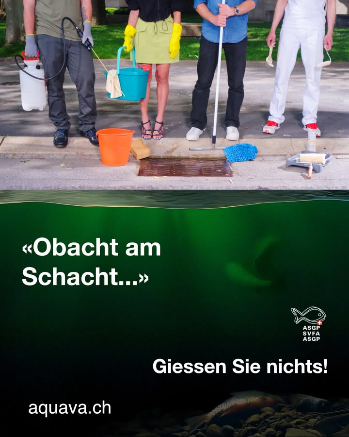 669436647_1268931702080595_4330568527753