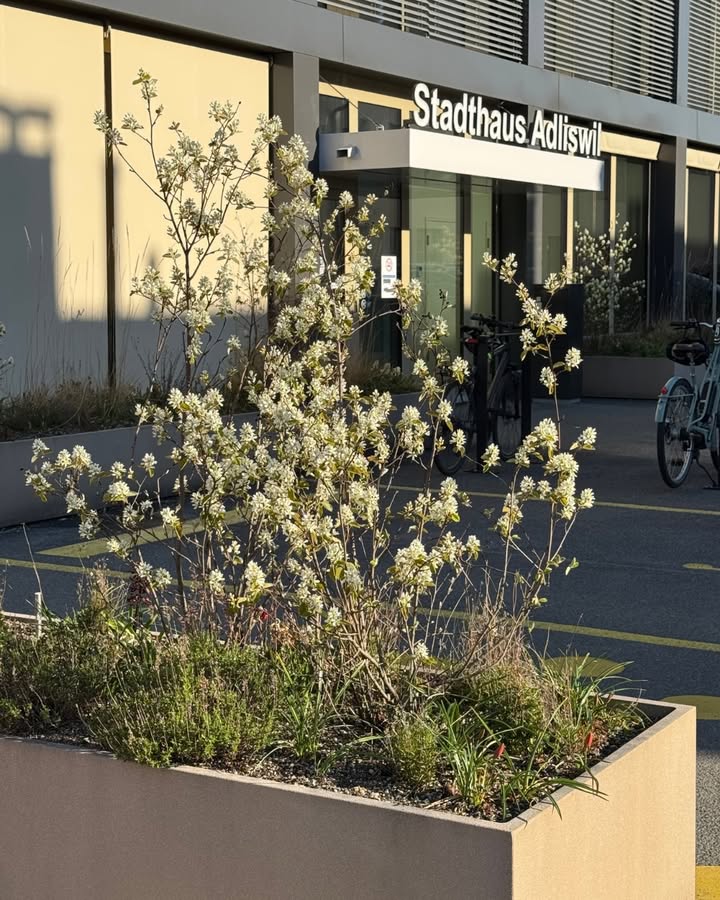 670525320_1267458432227922_8078616214257