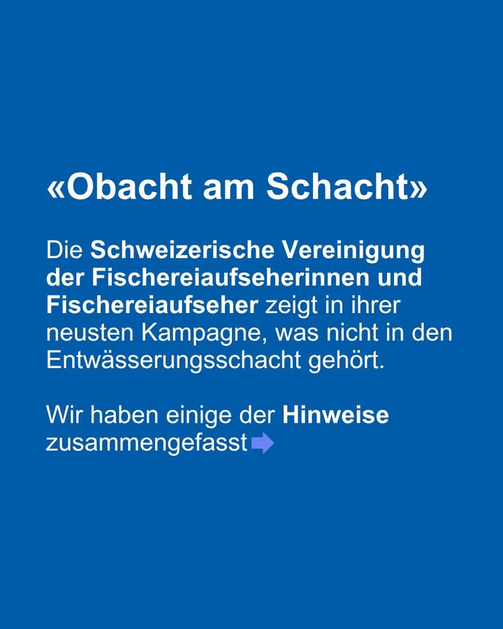 670783832_1268931425413956_1741361160331