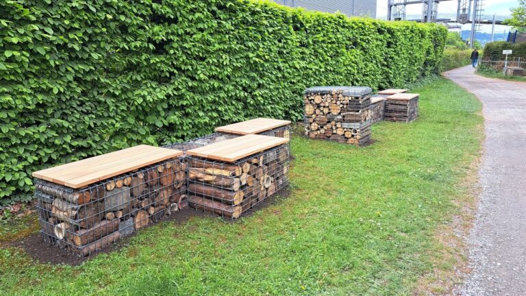 🌿 Die Totholz-Gabionen im Seegüetli sind in Betrieb! 🌿
G …