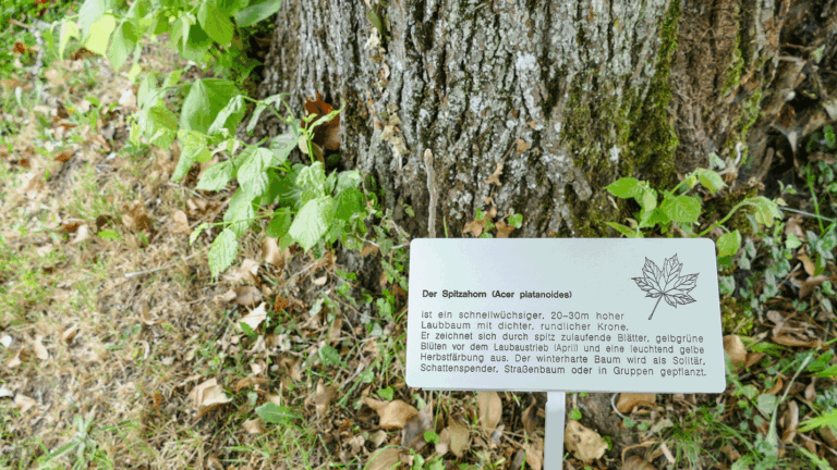 GRAVUREN AUS DER MONTAGEWERKSTATT