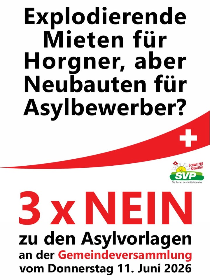 Am 11. Juni 2026 entscheidet die Gemeindeversammlung in Horgen üb …