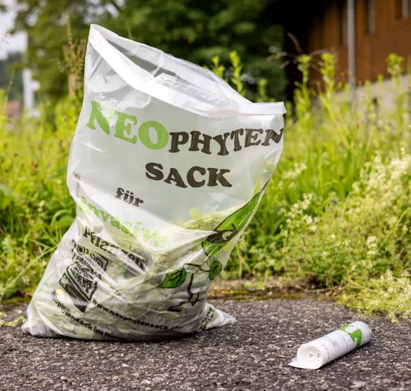 Neophytensack