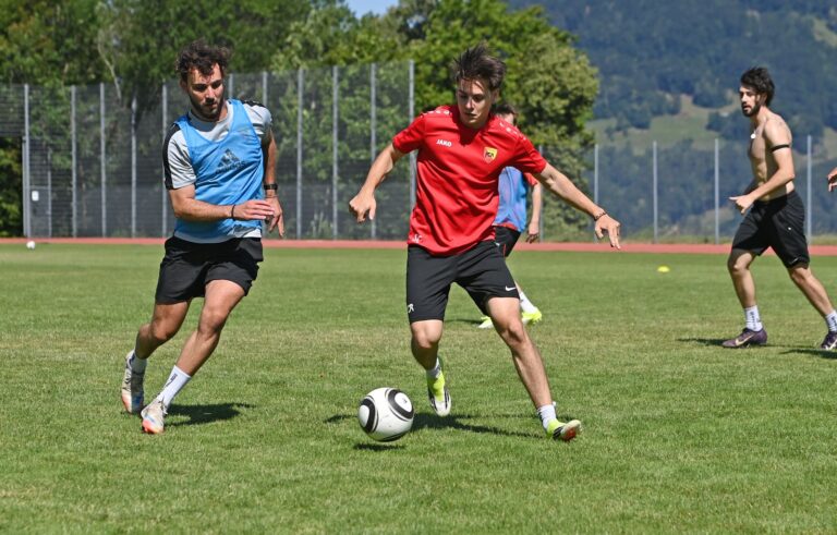 Sport Studie