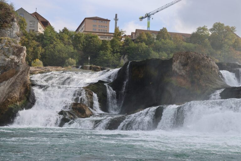 Vorstandsausflug rct 2026 4 scaled